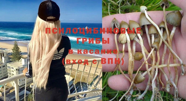 альфа пвп Лиски